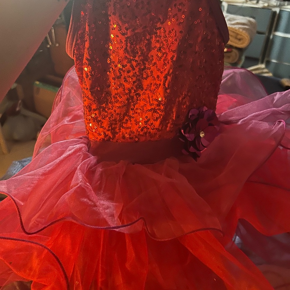 Vibrant Red and Pink Dance Costume with Sequined Top and Tulle Skirt